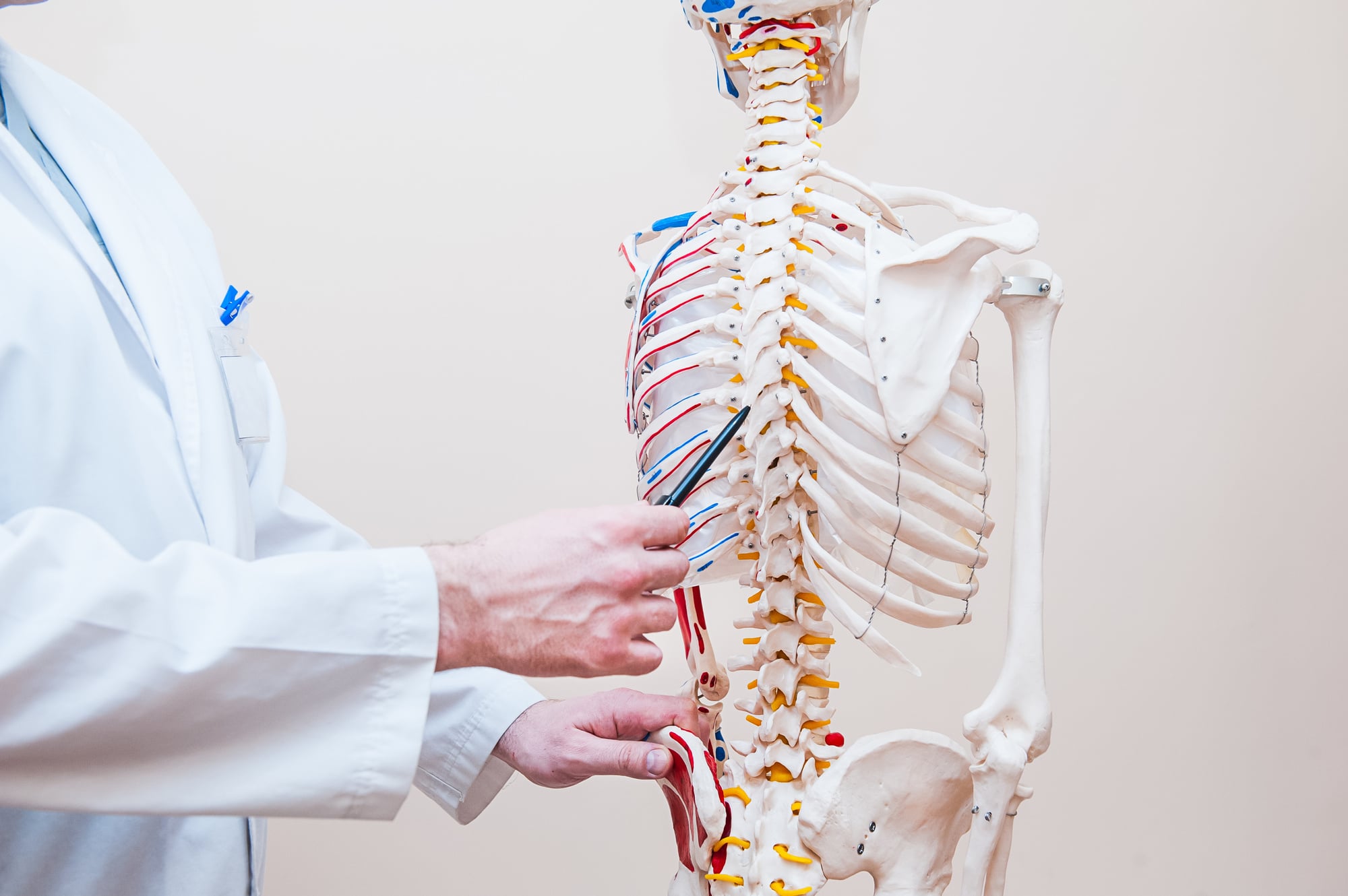 Chiropractic Adjustment Spine